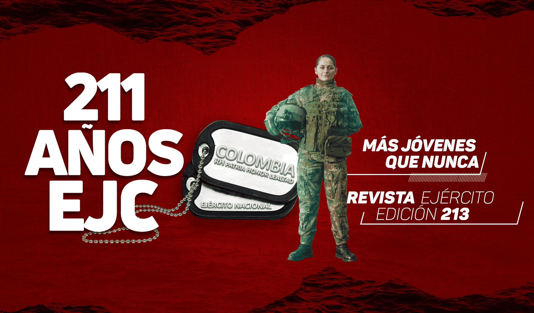 Revista 213