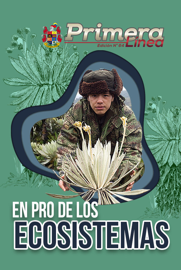 Revista Primera Línea 64