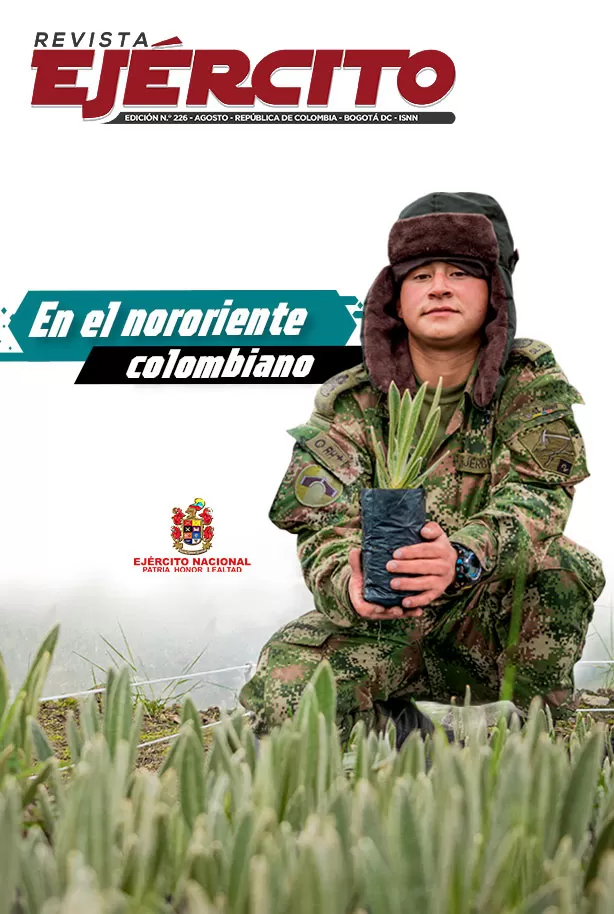 Revista 226