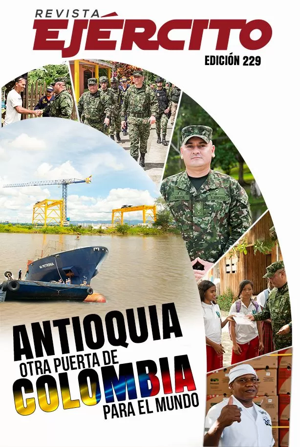 Revista 229