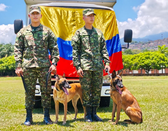 Cuatro patas, una misma misión: así se cuida a los caninos que sirven junto al Ejército Nacional